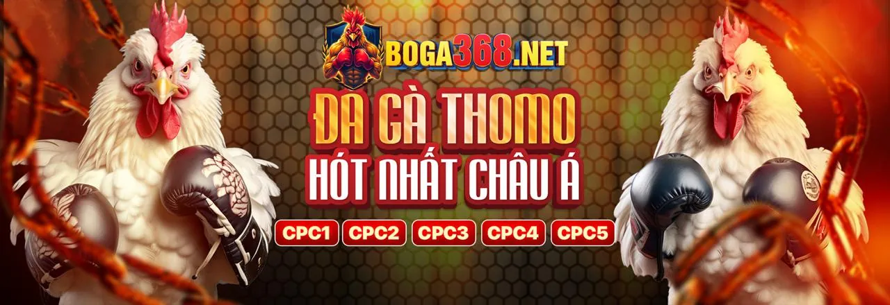 Đá gà trực tuyến HM888 Nhà Cái